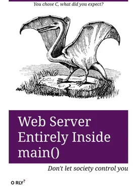 Web server entirely inside main() meme with O RLY owl