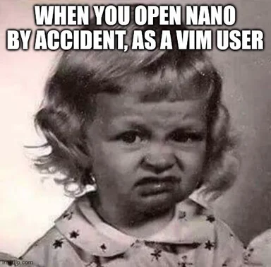 Close-up of a toddler with a disgusted and confused expression, captioned 'When you open nano by accident, as a vim user'.