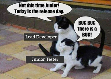 Two cats, one on top labeled Lead Developer saying 'Not this time Junior! Today is the release day.' and one below labeled Junior Tester saying 'BUG BUG There is a BUG!'