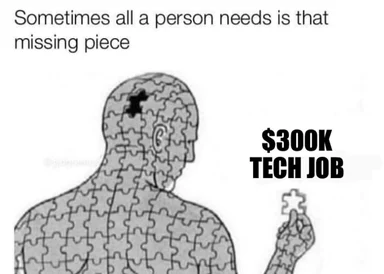 puzzle man finding missing piece for $300k tech job