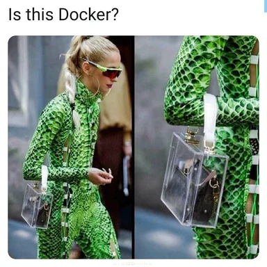 Woman in green snakeskin outfit holding clear plastic bag, Is this Docker?
