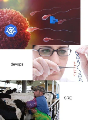 Meme comparing DevOps with Kubernetes and YAML fertilizing an egg, a scientist editing DNA, and a farmer inseminating a cow labeled SRE.