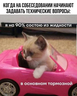 Cat sitting in a pink toy car with Russian captions about being 90% liquid, mostly brake fluid, when asked technical questions at an interview
