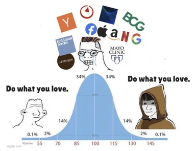 meme about doing what you love vs. working at top companies