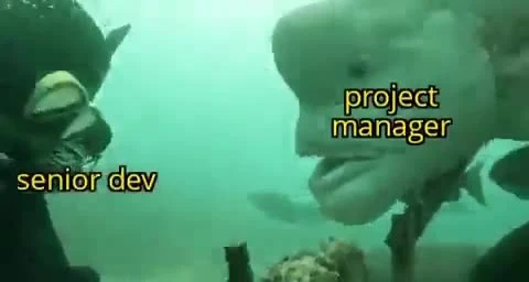 senior dev and project manager underwater meme
