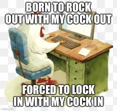 A white rooster sitting at a computer desk with text about rocking out and locking in.