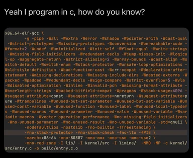 a terminal screen with a gcc compiler command and the text 'Yeah I program in c, how do you know?'