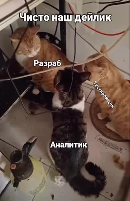 Three cats entangled in wires labeled разработ, аналитик, and тестирование
