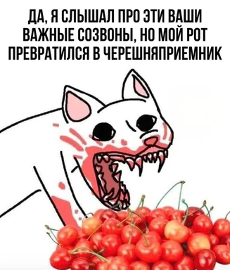 angry cat eating cherries meme