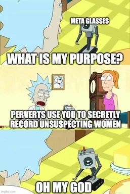 Rick and Morty meme panel with a small robot labeled Meta Glasses asking what its purpose is, while Rick and Morty look on