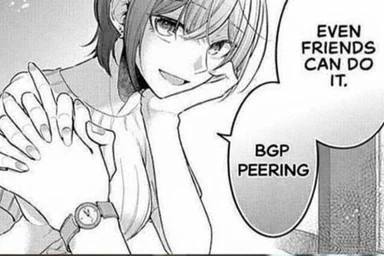 Manga panel of a girl holding hands with text saying 'Even friends can do it. BGP Peering.'