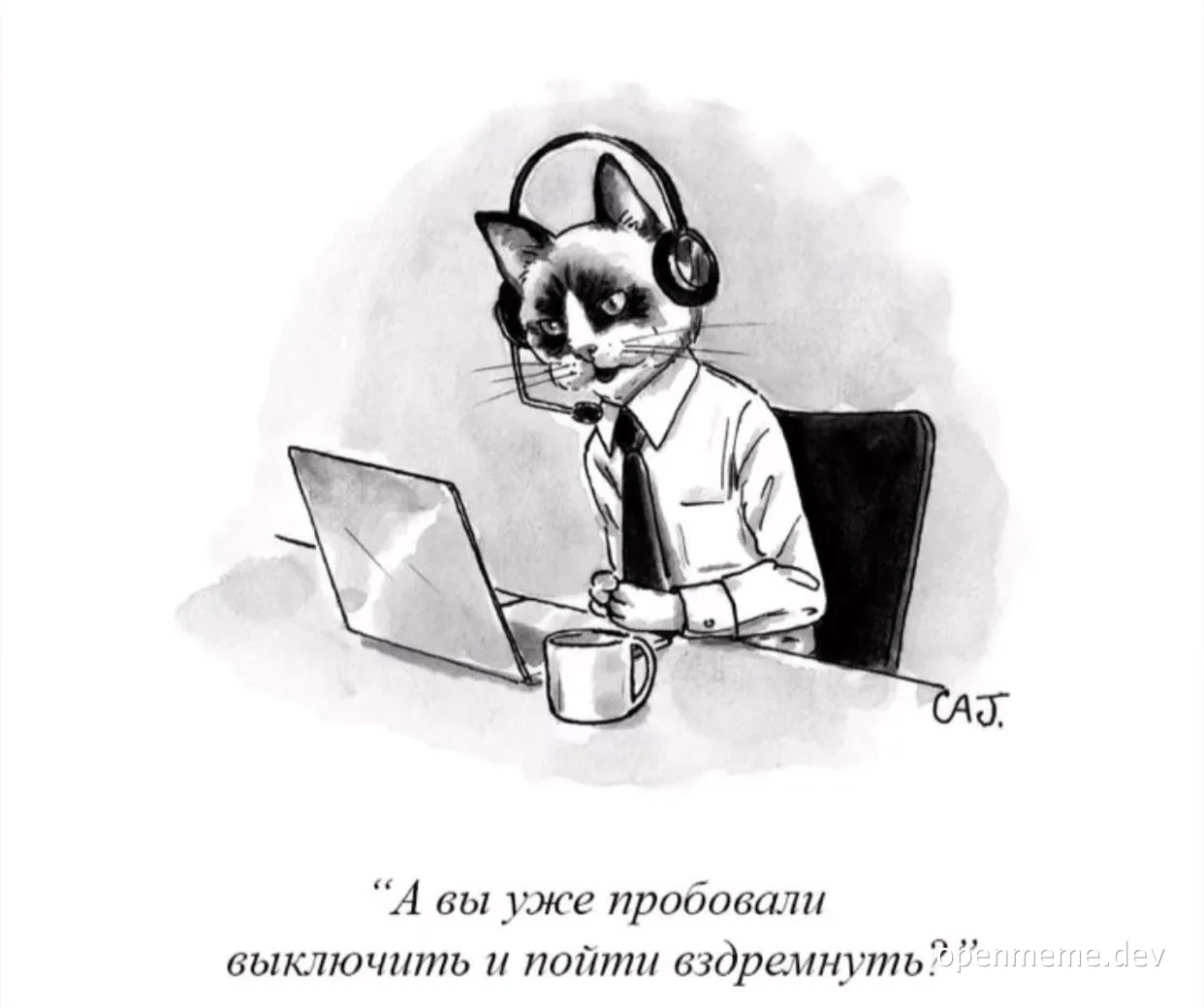 cat at laptop with headphones on