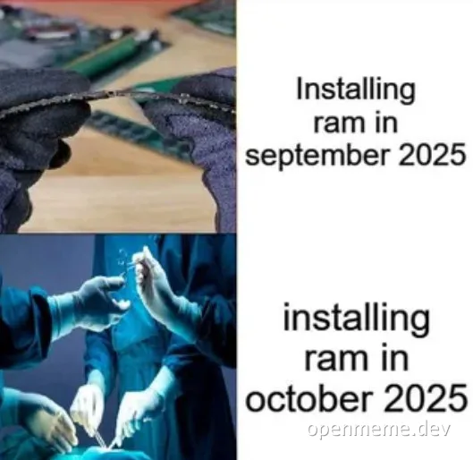 Two-panel meme: top shows gloved hands installing a RAM stick on a motherboard labeled 'Installing ram in september 2025',