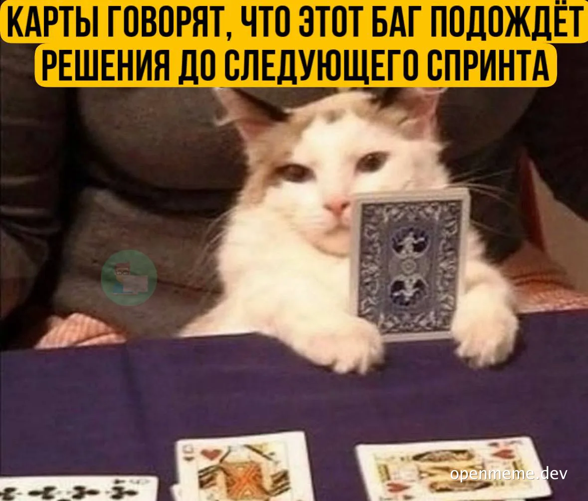 cat holding a card in front of face with cards on table