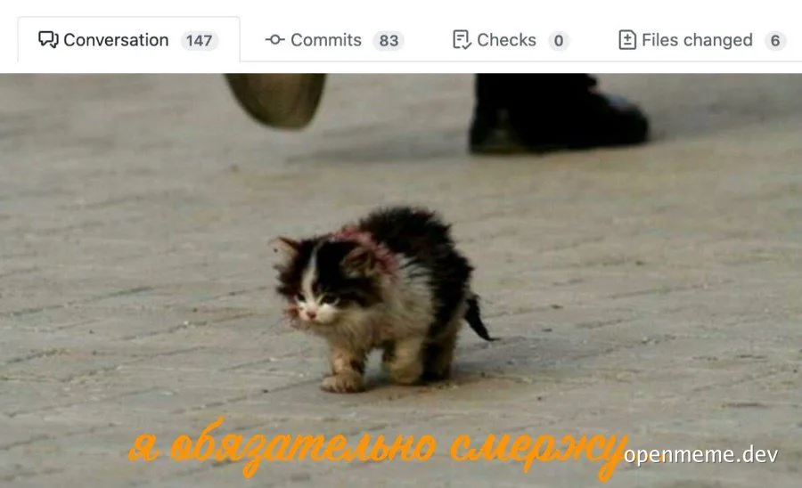 dirty kitten with blood on its head standing on a brick road with a person's leg and shoe in the background and text at the bottom