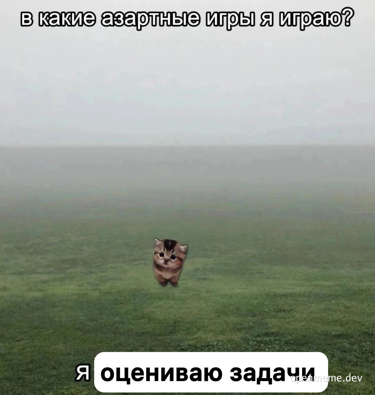 kitten in a field with russian text overlay