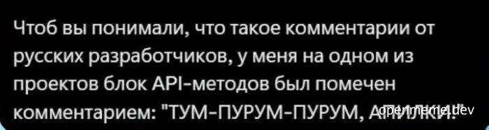 Текстовый мем на русском про бессмысленный комментарий в блоке API-метода от разработчика