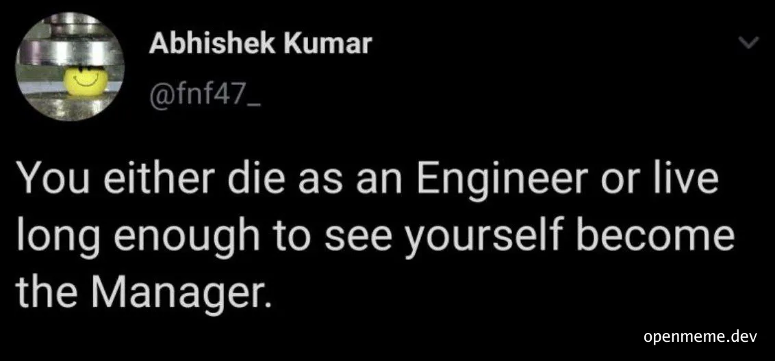 humorous text about career progression