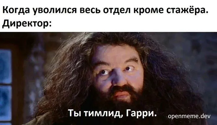 Rubeus Hagrid looking surprised with Russian text about a team lead promotion