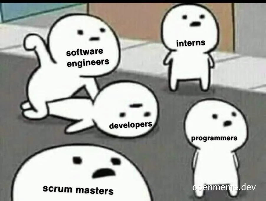 Funny meme about software engineers bullying other roles