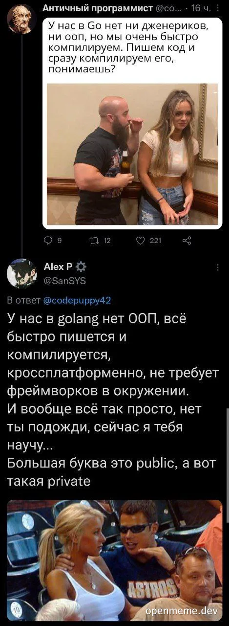 programmer explaining golang to girl