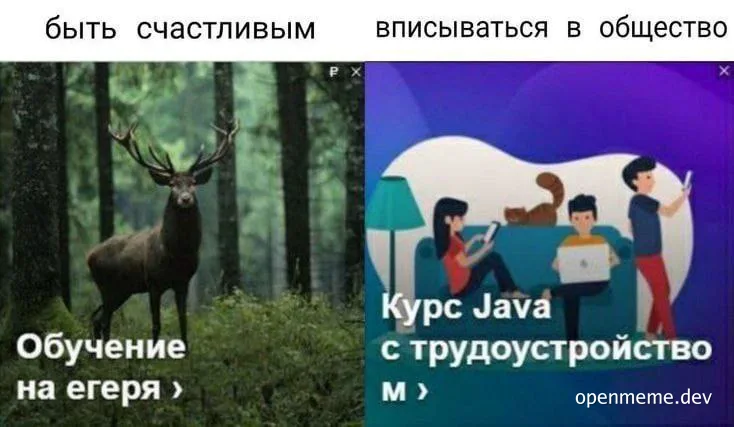 Deer in forest and people learning Java meme
