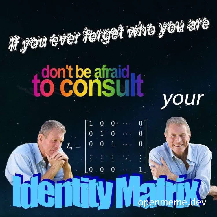 Humorous meme with two men and an identity matrix