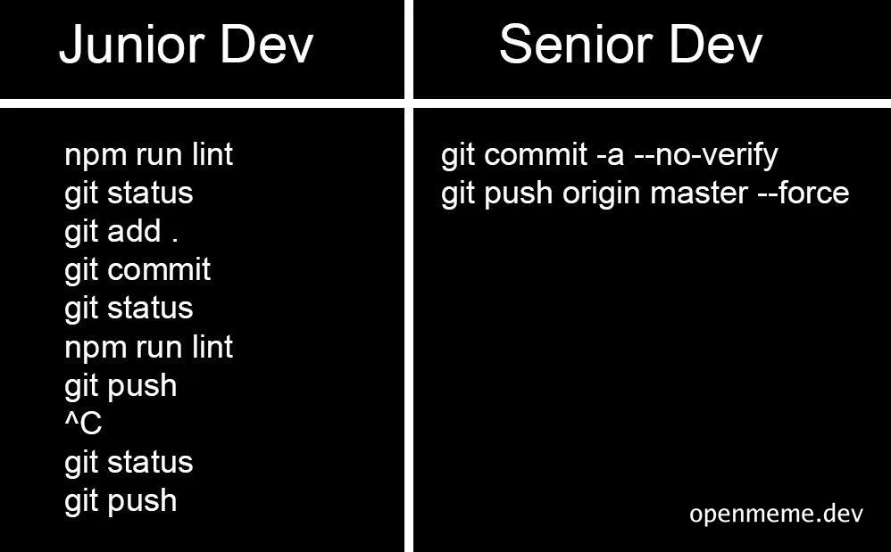 junior vs senior dev git commands