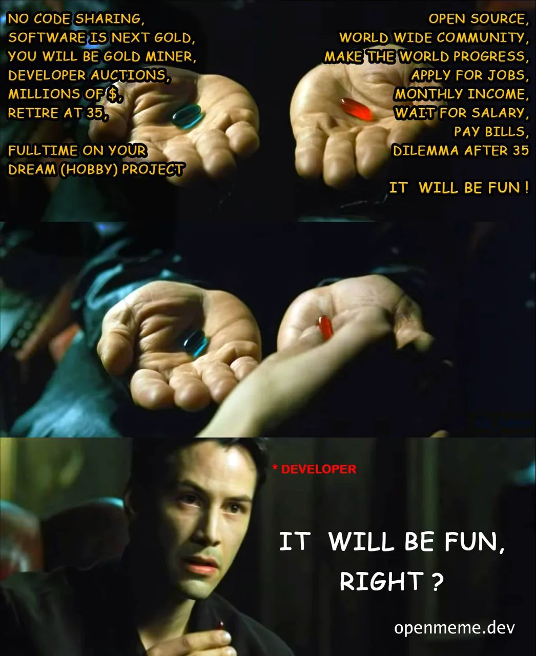 The Matrix meme with a developer choosing between two pills, labeled with the text 'IT WILL BE FUN, RIGHT?'
