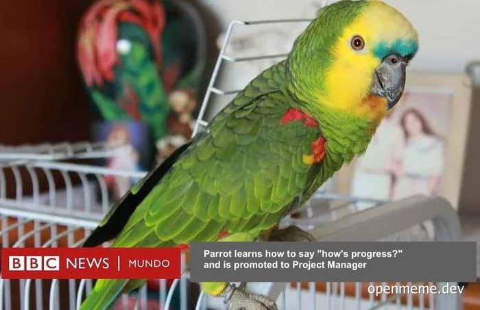 Parrot learns to say 'how's progress?' and gets promoted to Project Manager
