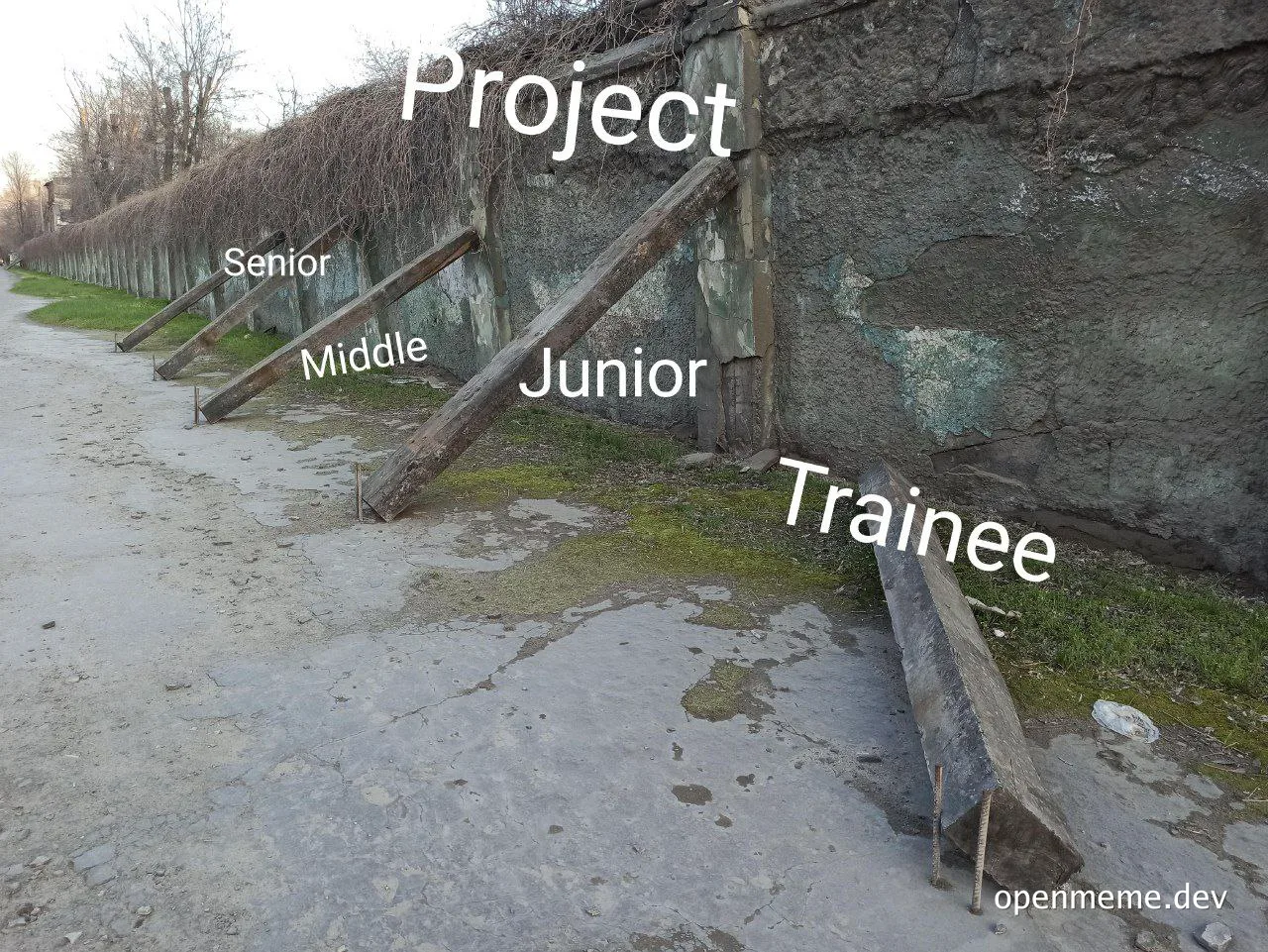 humorous image of wooden posts labeled with developer seniority levels