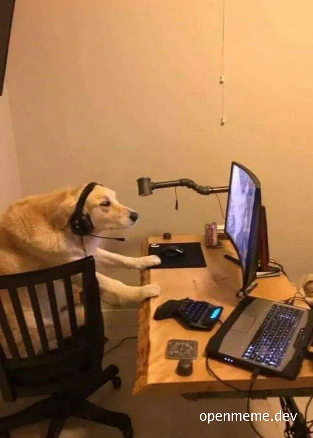 A golden retriever wearing a headset and sitting in an office chair at a desk with a laptop and monitor.
