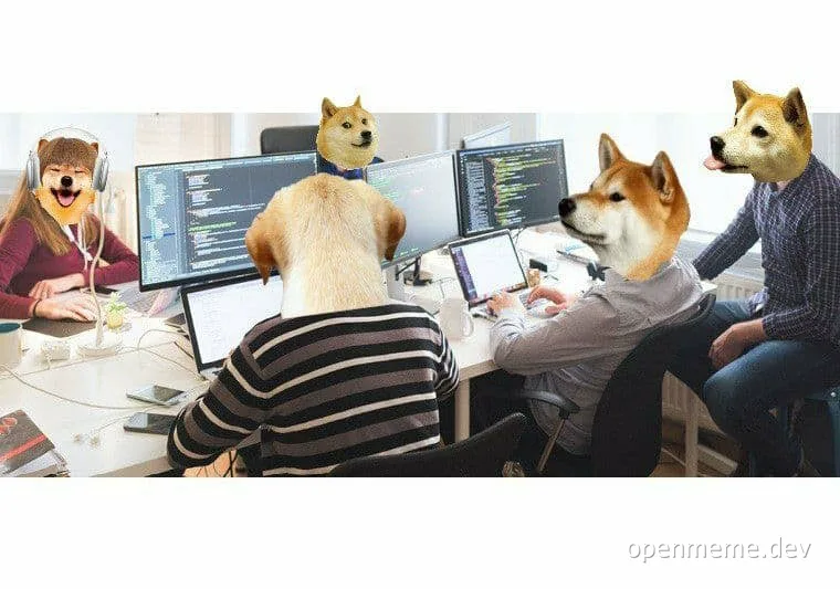 Shiba Inu dog heads on developers in an office