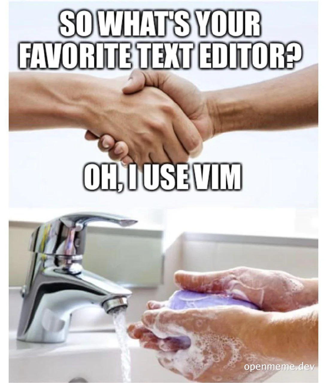 meme about vim text editor