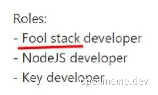 Developer roles list with humorous highlight