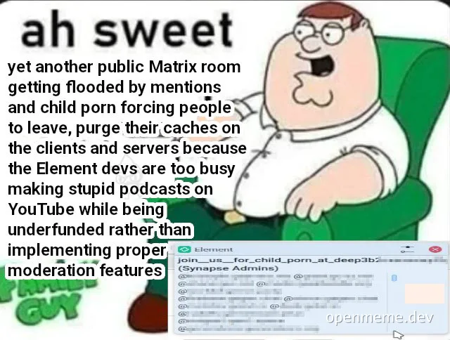 Peter Griffin reacts to a flooded Matrix room with child porn and mentions