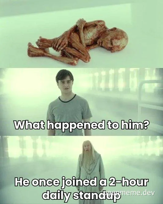 Harry Potter meme: Dumbledore explains to Harry what happened to a guy who joined a 2-hour daily standup meeting