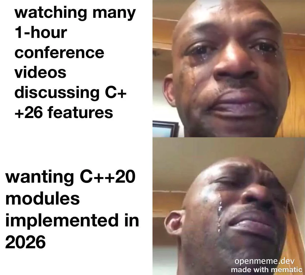 programmer frustrated with C++ conference videos