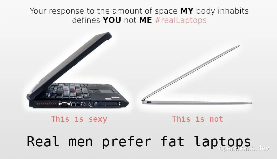 humorous comparison of a thick laptop and a thin laptop with a caption about body image