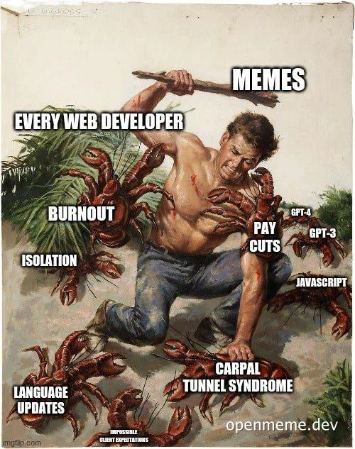 web developer struggles meme
