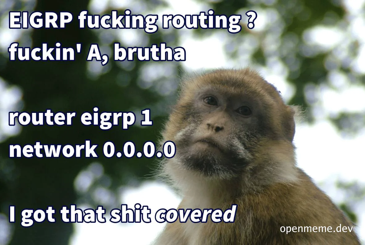 monkey looking skeptical with text about EIGRP routing