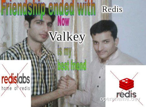 Friendship ended with Redis, now Valkey is my best friend