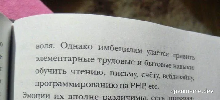 A book page with a text about teaching programming to people with intellectual disabilities