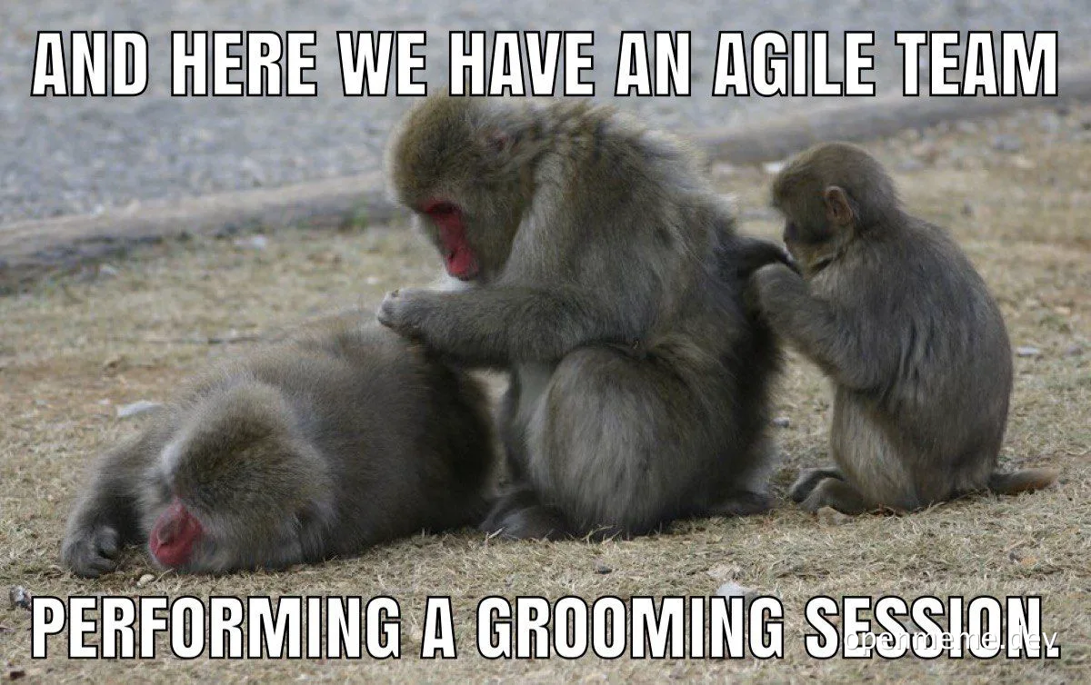 Monkeys grooming each other with the caption 'AND HERE WE HAVE AN AGILE TEAM PERFORMING A GROOMING SESSION.'