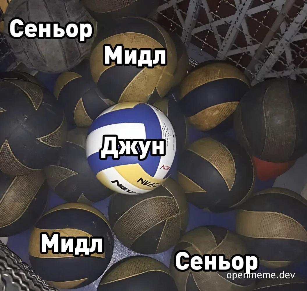 a volleyball labeled 'jun' surrounded by black and gold volleyballs labeled 'midl' and 'senior'