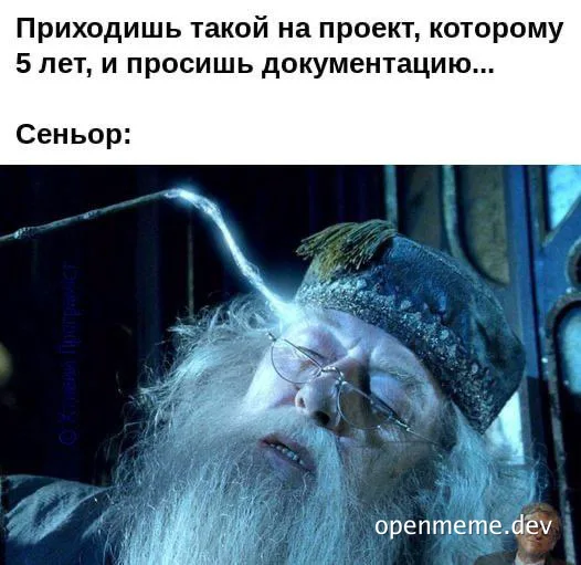 Senior developer reaction to asking for documentation on a 5 year old project