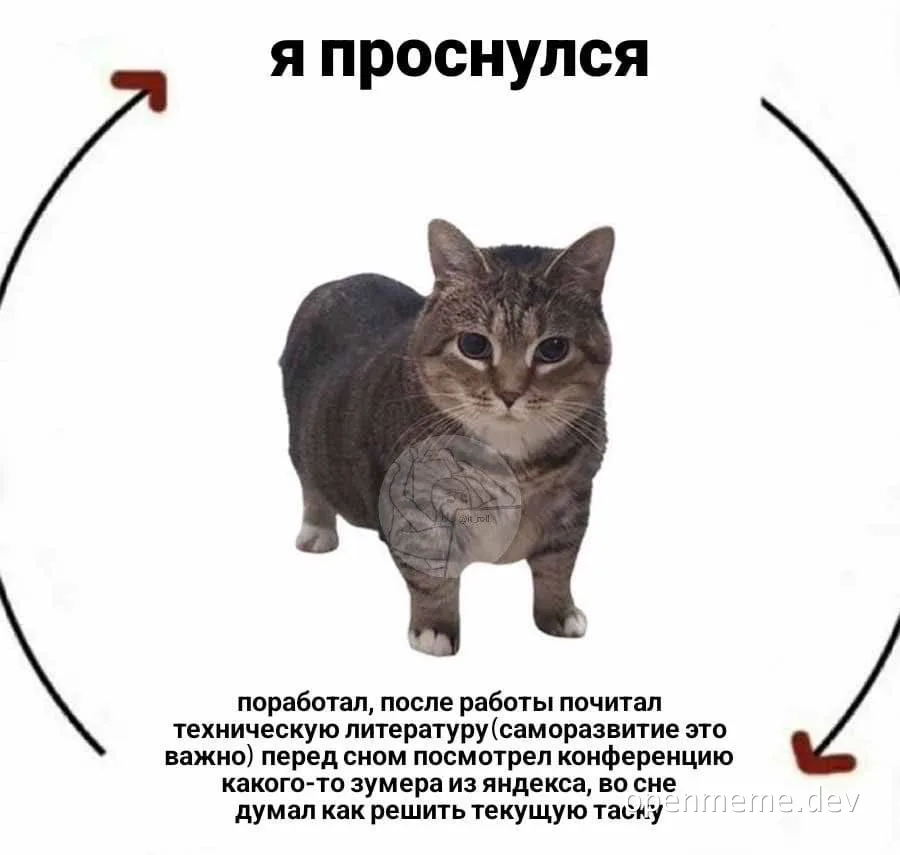 cat with a thoughtful expression in a circle with russian text