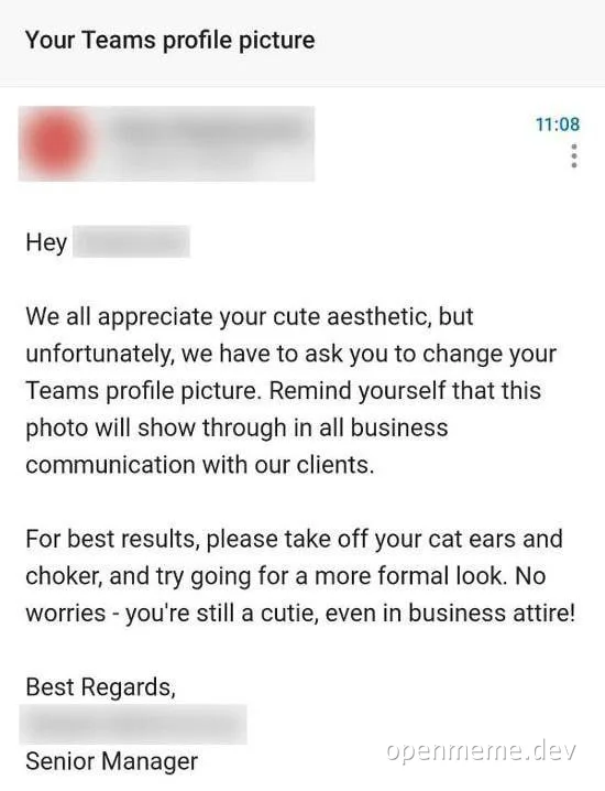 Email from senior manager asking employee to change profile picture
