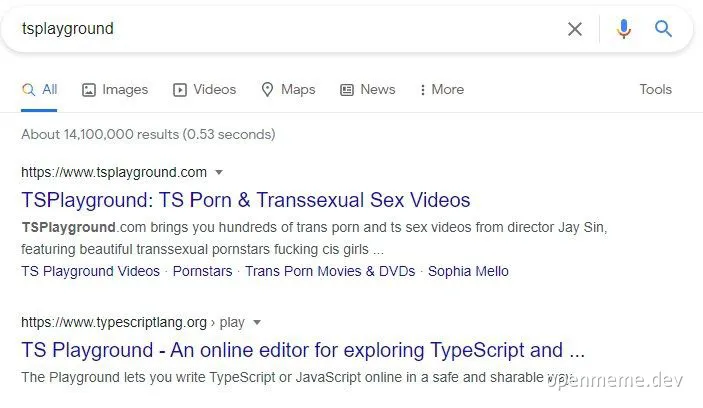 TS Playground search results meme