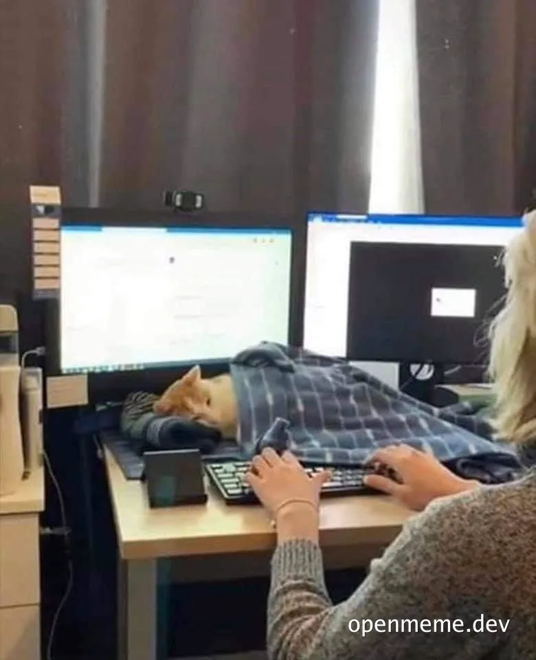 a woman sitting at a desk with a cat sleeping on a monitor